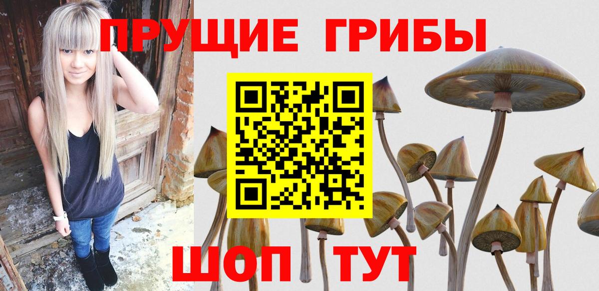Выборг  Галлюциногенные грибы GOLDEN TEACHER  Псилоцибиновые грибы мицелий  Вход с VPN 